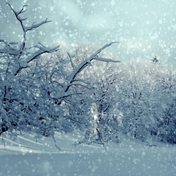 Thai Rama IV Restaurant Colwall Malvern Christmas Menu